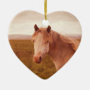 Search for pony ornaments Wild