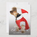 Search for yorkshire terrier christmas cards Cute