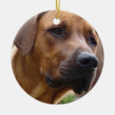 Search for breeder ornaments Dogs