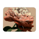 Search for ruby magnets Floral