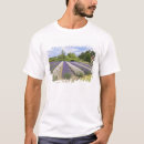 Search for lavender tshirts Colourful