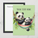 Recherche de ours panda de bébé Pour tous