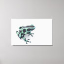 Search for poison dart frog posters Danger