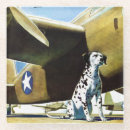 Recherche de avion dessous de verres Animaux