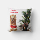 Search for christmas yorkie pillows Pet