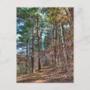 Search for paths postcards Autumn