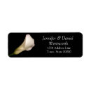 Search for white calla lily return address labels Elegant