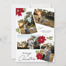 Search for red poinsettia christmas cards Modern