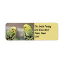 Search for parakeet return address labels Green