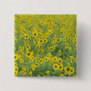 Recherche de tournesol badges Printemps