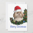 Recherche de shih tzu christmas vœux cartes Animaux domestiques