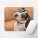Search for beagle mousepads Cute