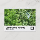 Search for breeze business cards Modern