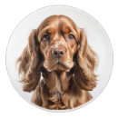 Search for dog lover knobs and pulls Puppy
