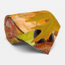 Recherche de glands cravates Automne