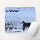 Recherche de canards photographie Eau