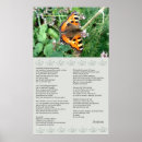 Recherche de desiderata posters Nature