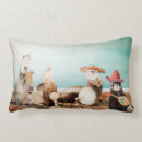 Recherche de de furet coussins Drôle