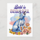 Recherche de chat mexicain cartes postales Chats