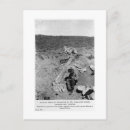 Search for digging postcards Dinosaur