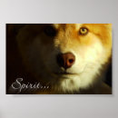 Recherche de esprit loup posters Loups