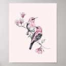 Recherche de long bec posters Nature