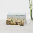 Recherche de mollusques vœux cartes Plage