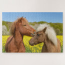 Search for horse puzzles Cute