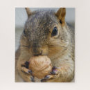 Search for red squirrel puzzles Squirrels