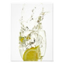 Recherche de tranche de citron posters Agrumes