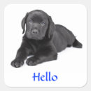Recherche de marionnette autocollants Labrador