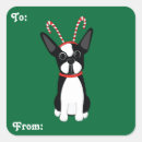 Search for boston terrier stickers Pets