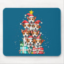 Search for rat mousepads Photography