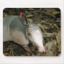 Search for armadillo electronics Nature
