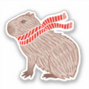 Recherche de capybara Mignon