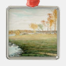 Search for swamp ornaments Nature