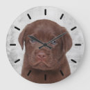 Recherche de chien labrador horloges Visage