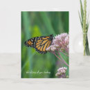 Recherche de papillon monarque vœux cartes Nature