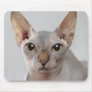 Search for sphinx mousepads Pet