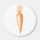 Search for carrot carrots magnets Vegetables