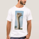 Recherche de autruches tshirts Oiseau
