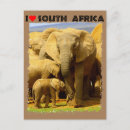 Search for south africa postcards Safari