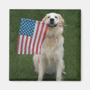 Recherche de chien labrador magnets Contemporain