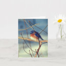 Search for winters note cards Animal