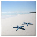 Search for starfish tiles Ocean