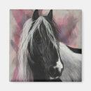 Search for gypsy vanner horse Draught