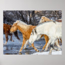 Search for animal crossing posters Horse