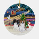 Search for papillon ornaments Dogs