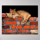 Search for orange brick posters Red