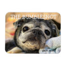 Search for snort Pugs